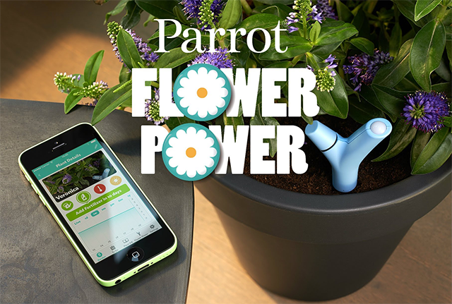 Parrot Flower Power